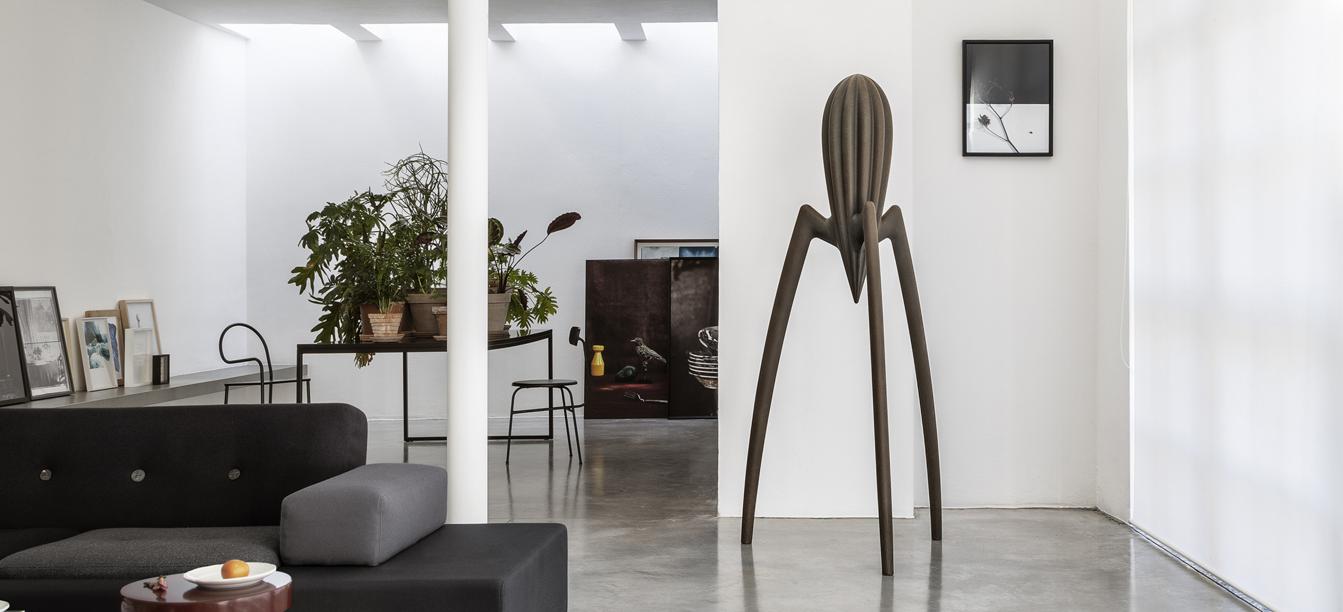 Alessi Desktop Banner