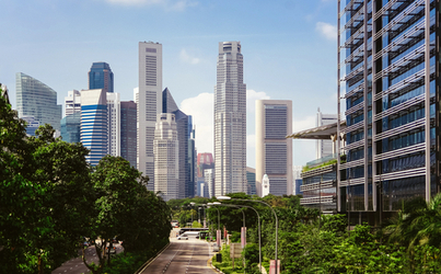 City buildings and trees