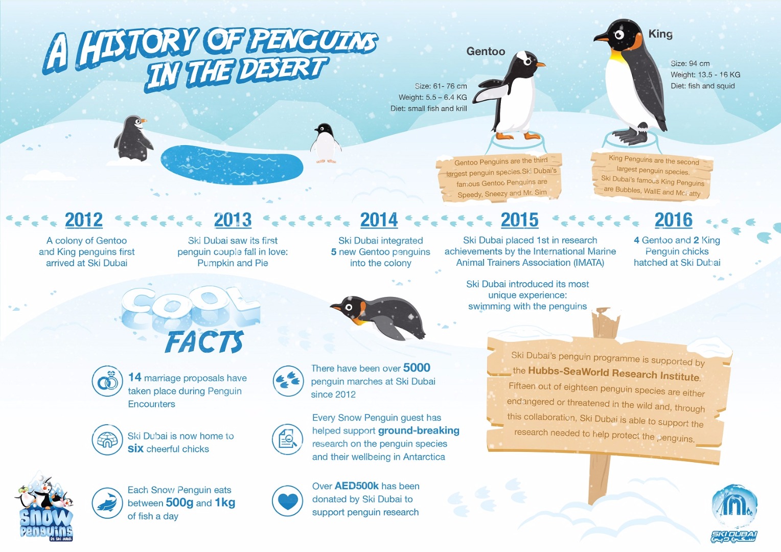 penguin infographic